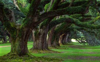 紫薇斗数命宫有七杀 紫薇斗数命宫七杀是真七杀吗?？